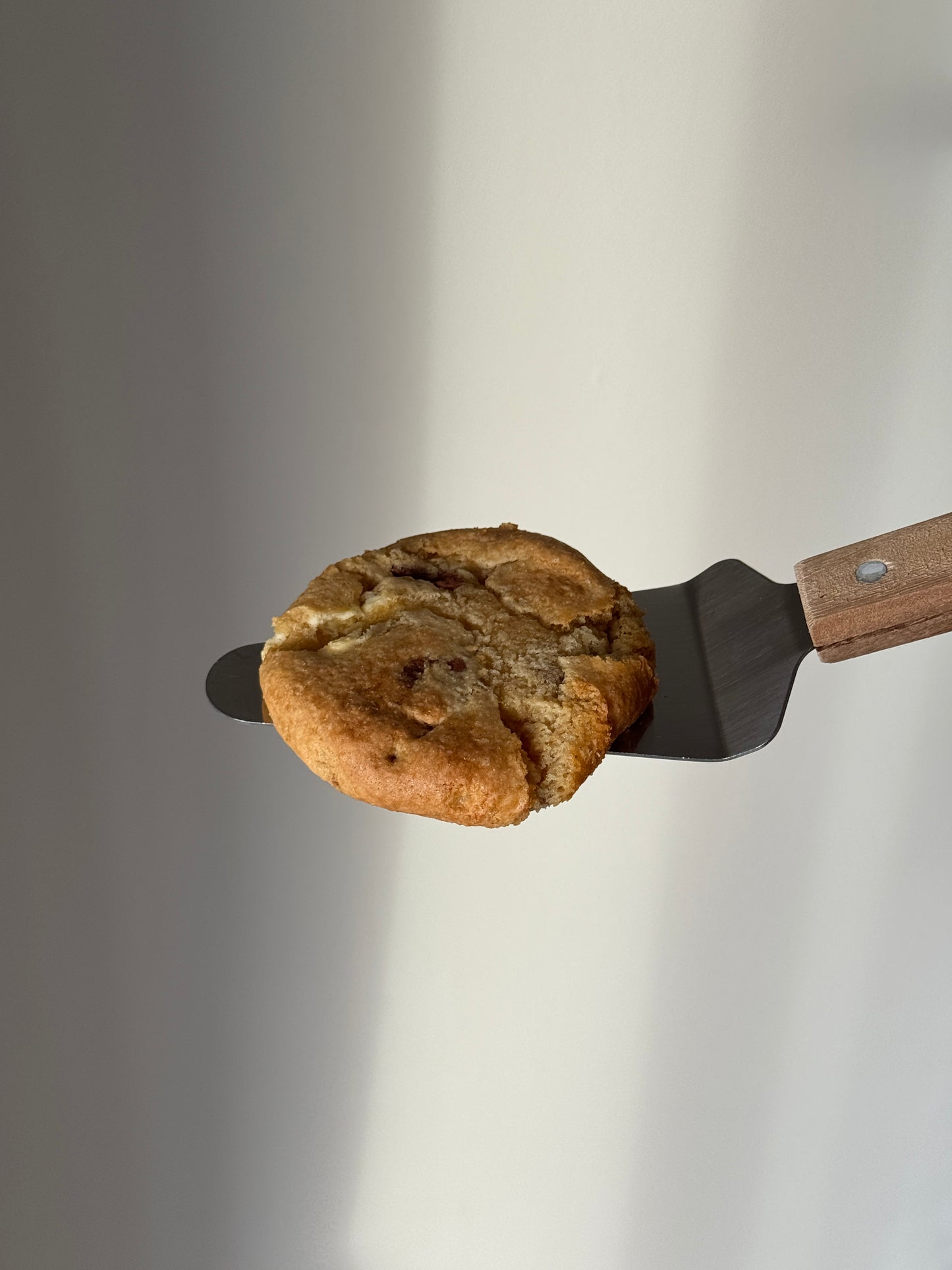 Gluten Free Chocolate Chip Cookie