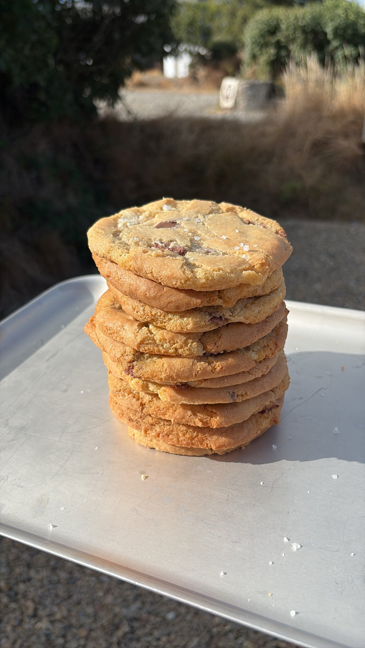 The Cookie Sharer - 10 Mixed Cookies