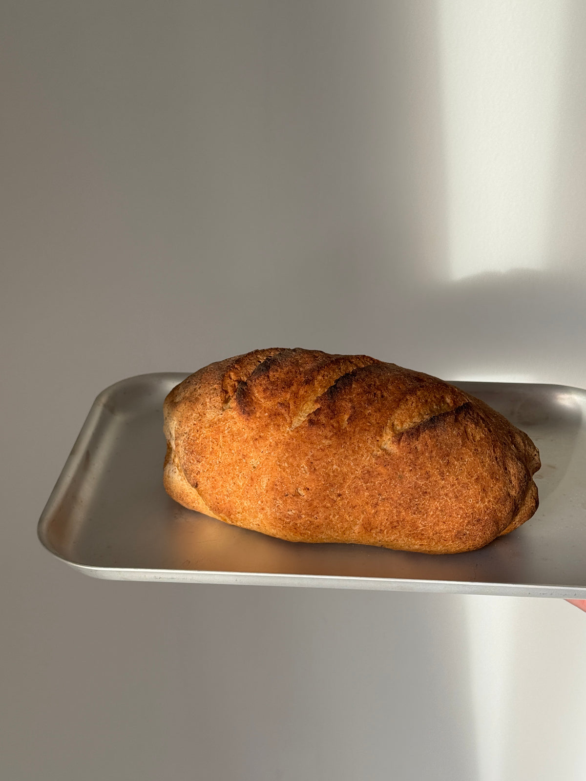 A single rustic loaf of bread on a metal sheet pan against a plain light gray background.