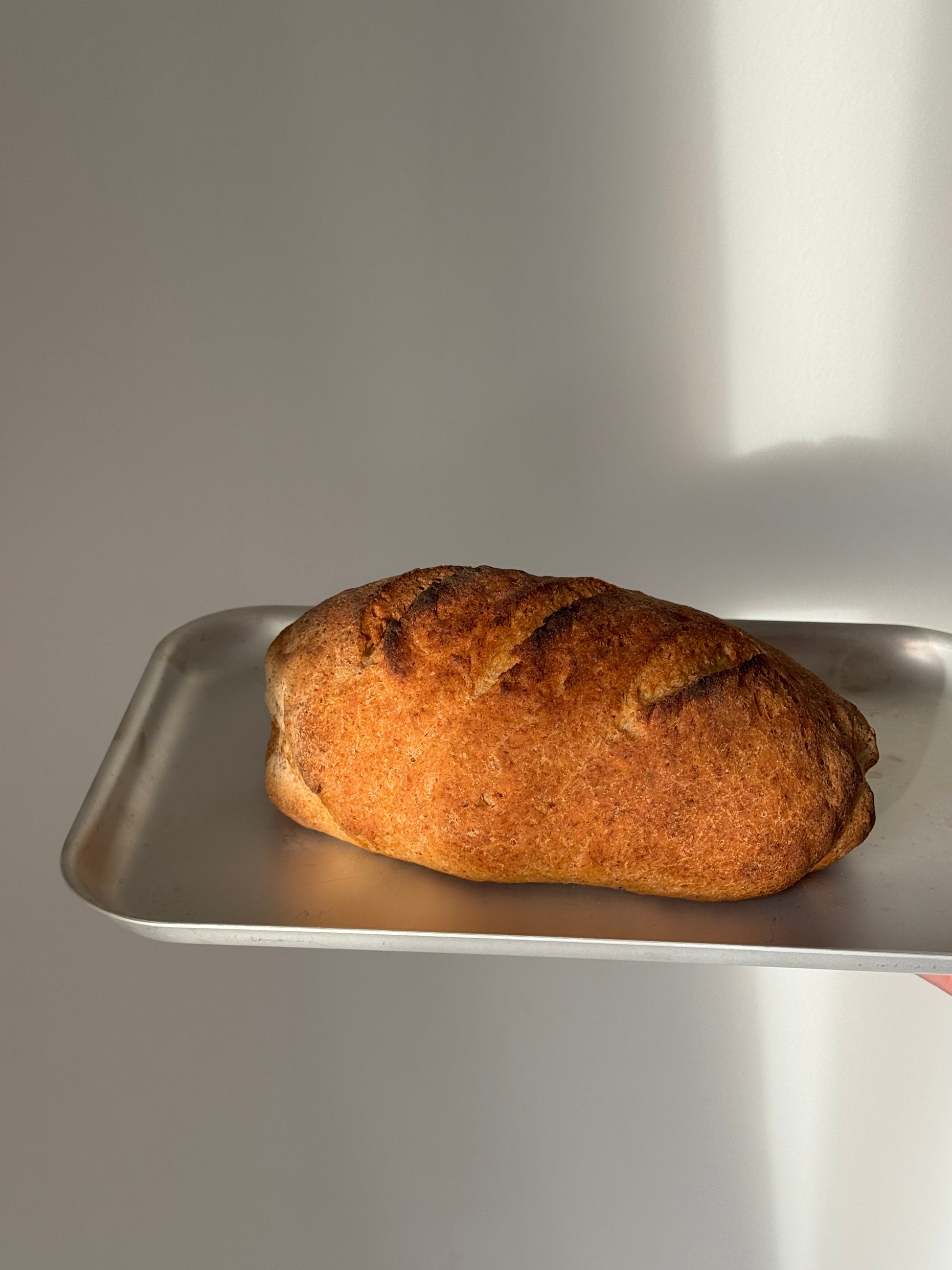 A single rustic loaf of bread on a metal sheet pan against a plain light gray background.