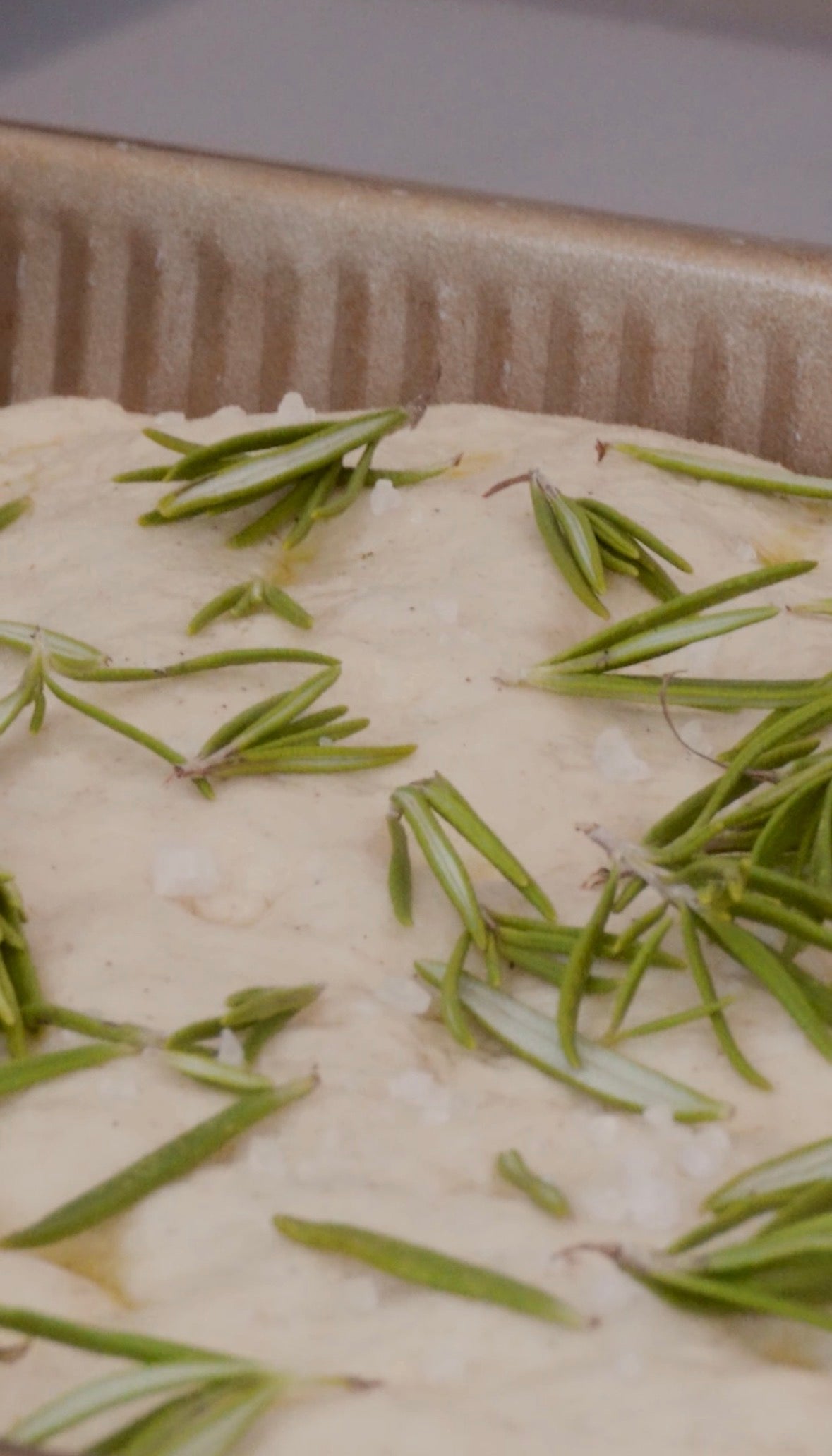 Rosemary & Salt Focaccia Slice